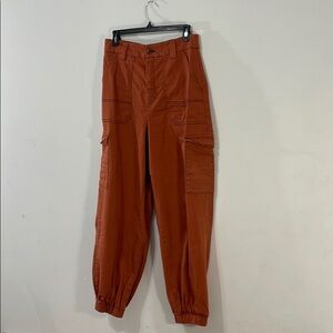 Urban Outfitters Burnt Orange Loose Cargo Joggers